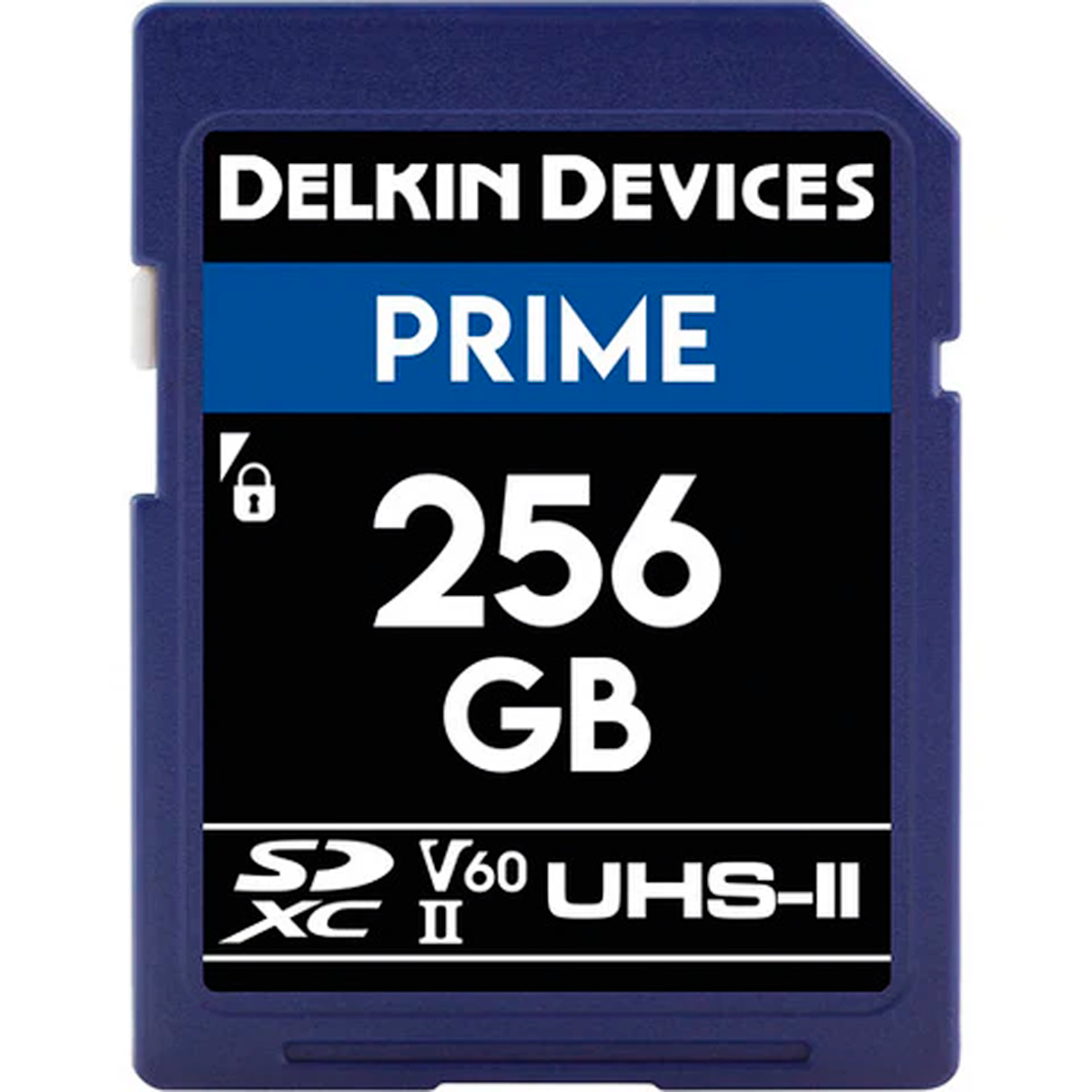 Memoria SDXC Delkin 256GB UHS-II V60